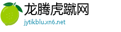 龙腾虎蹴网